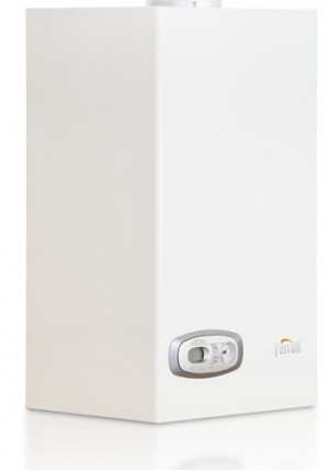 Котел газовый Ferroli DivaTECH D C24